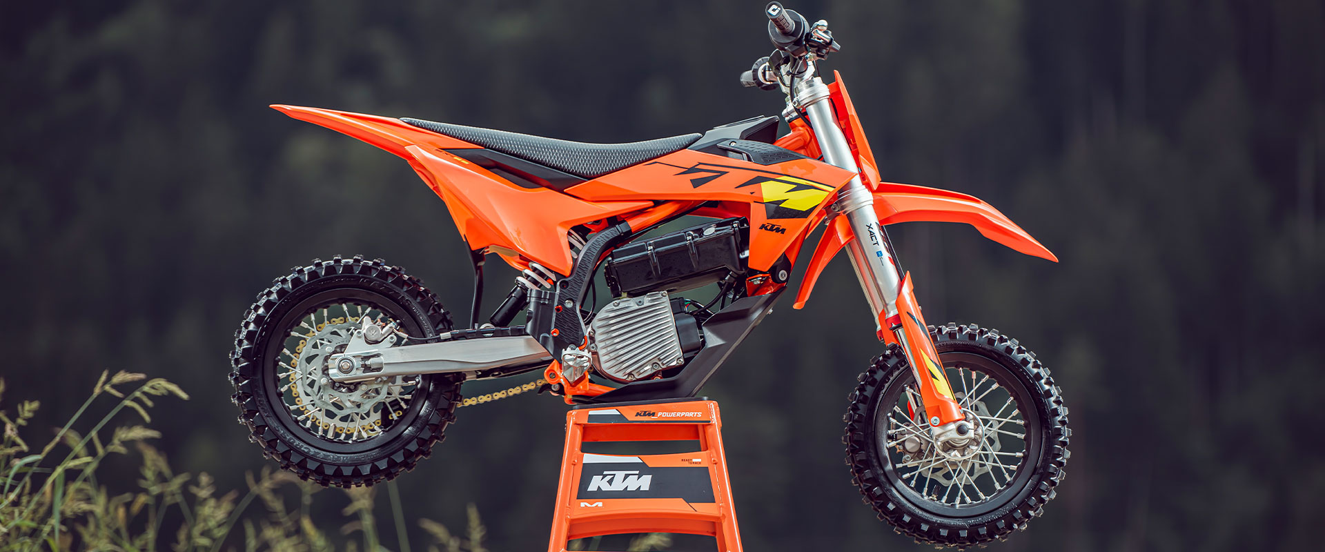 KTM lleva la 390 Adventure R con especificaciones globales al mercado indio